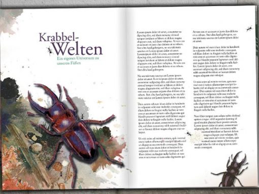 Magazin Illus