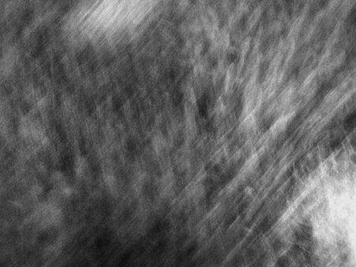 Movement
