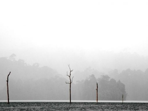 Landscapes